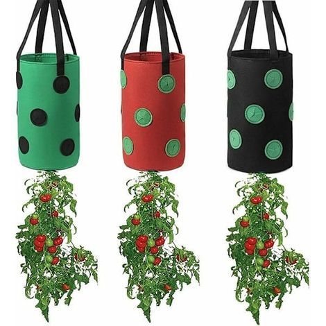 Filiyano-Sacs de culture pour fraises et tomates (1/5)
