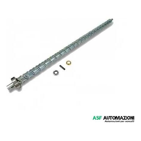 CAME 119RID104 Vite senza fine per ATI 5 - V.1