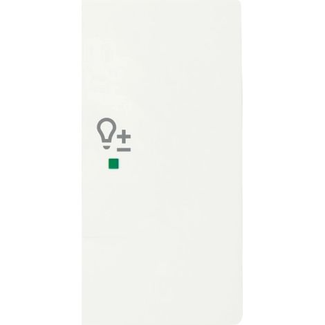 Bascule double avec symbole ’’Variateur’’ à droit e blanc studio mat