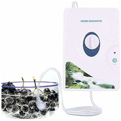 Générateur d'ozone pour l'eau et la purification et l'air d'ozone Machine à oxygène Purificateurs d'eau,O3 stérilisateur de désinfection d'ozone avec minuterie numérique (1/4)