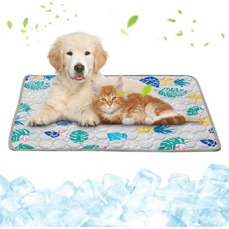 Tappetino rinfrescante per cani 70 x 55 cm Grigio XL (1/5)
