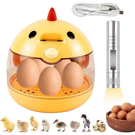 Incubadora para huevos de gallina,incubadora para animales,con ventana de visualización de 240° e interfaz USB,juguete educativo para niños