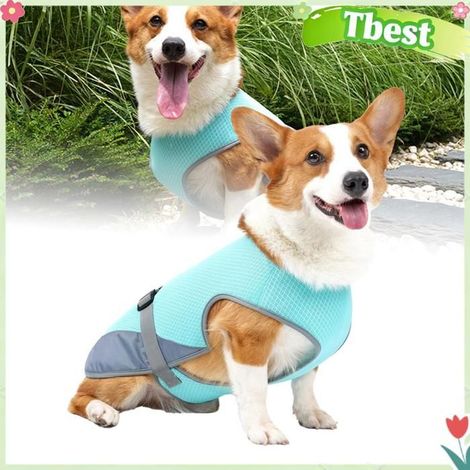 Tbest Gilet de refroidissement pour chien Gilet rafraîchissant pour chien, veste animalerie blouson Bleu clair S pour 44 à 77 lb (1/5)