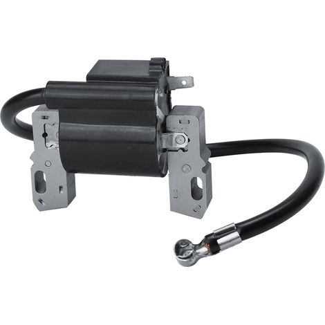 Module de bobine d'allumage compatible avec Briggs & Stratton 591420 398593 496914 793281 793295 (1/5)