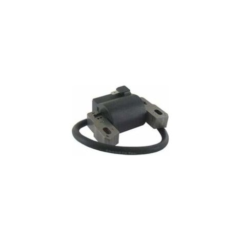 BRIGGS & STRATTON Zündspule 802574 - 492416 - 493237 - 695711 - 796964 - Crezuo