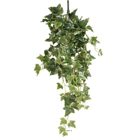 Lierre artificiel Hedera Helix en chute H 80 cm Panaché - dimhaut: H 80 cm - couleur: Blanc-vert (1/2)