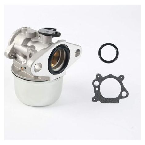Kit De Remplacement De Carburateur De Moteur Compatible avec Brigg et Stratton 497586 498170 799868 498254 497314 497347 698444 (1/5)