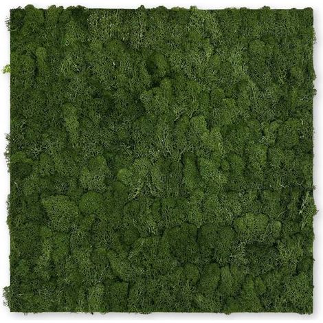 JANGAL Modular Wall Akustik 3D Paneele  520 x 520 mm Dark Green Moos Moos Pflanzenwand Paneele Echtmoos (1/5)