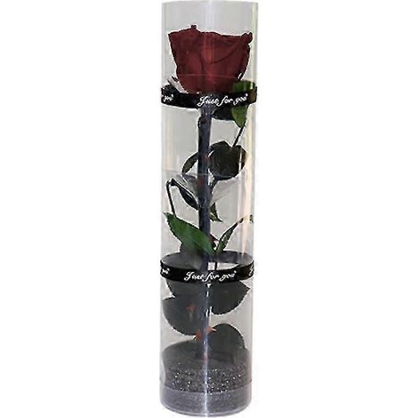 JIAJIEFANG Une véritable rose préservée, rose éternelle, rose durable, rose à floraison éternelle - Bonne (1/5)