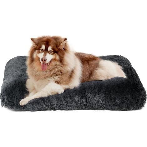 Coussin carré en peluche gris foncé pour chien et chat, 50 x 40 x 5 cm, doux et moelleux, idéal pour un sommeil profond, 1 pièce (1/5)