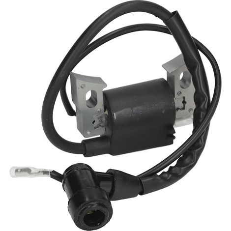 Bobine d'allumage pour moteur 152F 79.5CC 2.5HP - Module de remplacement générateur (1/5)