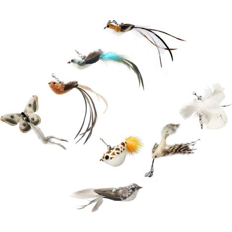 Têtes de Rechange pour Jouet de Chat avec Plumes - Ensemble de 8 Recharges de Plumes pour Jeu Interactif (1/4)