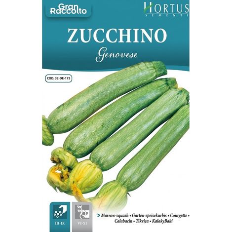 Zucchino Genovese Gran Raccolto