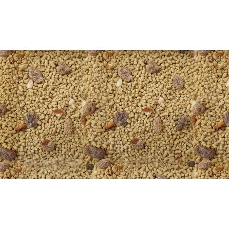 VETAFARM - PARROT ESSENTIALS - Granuli di FRUTTA SECCA e NOCI per tutto l'anno per TUTTI I PAPPAGALLI 2 kg (1/3)