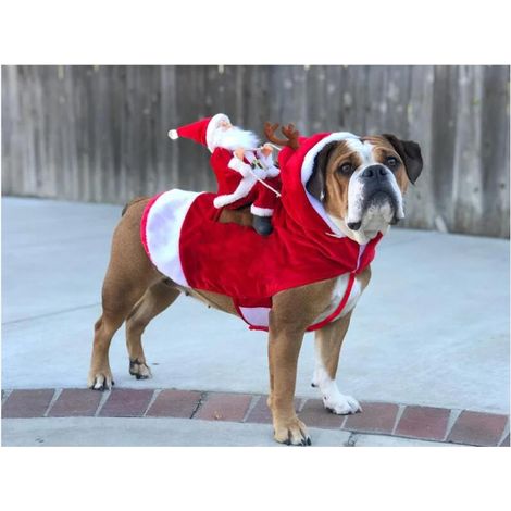 One Piece Cowboy Dog Costume Ride Funny Style Christmas Halloween Cosplay Costume (Vêtements de poupée de Noël) - Buste 50-70cm (1/2)