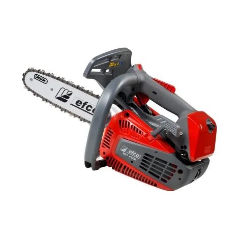Efco MTT 2500 Motosega da potatura 1,3 Hp da 25 cm (1/5)