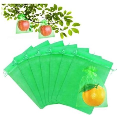 Schutzhüllen für Weintrauben – 60 Stück – Organza – 30 x 20 cm – Grün (1/5)