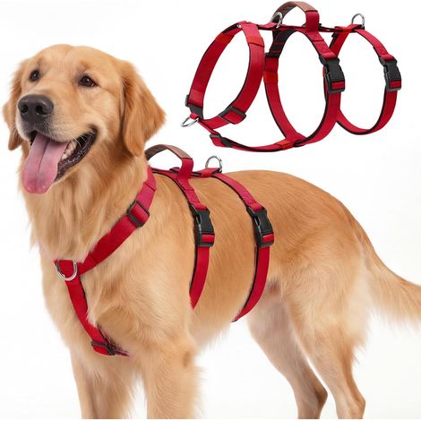 1 Harnais Chien, Réglable 6 Points, Poignée Contrôle, Anneaux En D, Pour Chiens Moyen Et Grand (1/5)