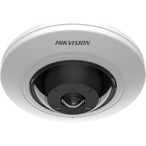IP CAMERA: HIKVISION DS-2CD2955G0-ISU(1.05mm) (1/3)