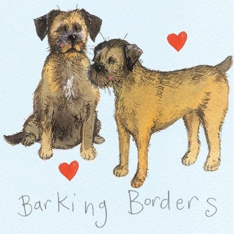 Magnete FM11 per Border Terrier