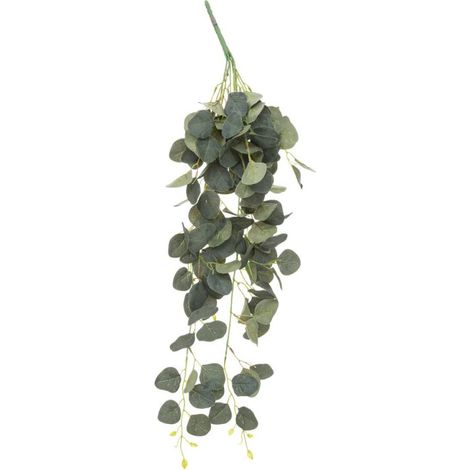 Tige Artificielle Eucalyptus "Drew" 80cm Vert (1/2)