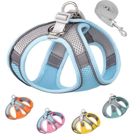 Conjunto de arnés y correa suave para perros - Chaleco acolchado en la espalda - Cómodo para perros - Talla 2XS - Azul (1/5)