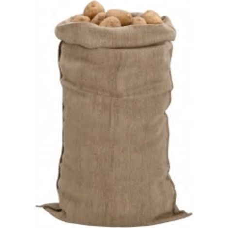 Sacs en jute 30 pcs 65x135 cm 100 % jute 340 g/m² (1/5)