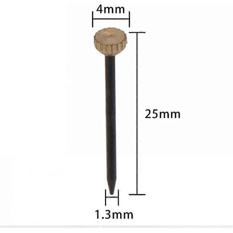 Lot de 50 clous pour accrocher des tableaux - Petits clous en acier noir à tête en laiton - pour tableaux et décorations murales, avec boîte de rangement en plastique-AquaForge (1/3)