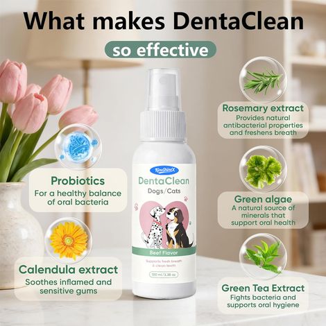 KineShineX Pet Dual-Use Oral Spray: Plant-based ingredients, breath freshener, cleanser, reduces odor. (1/5)