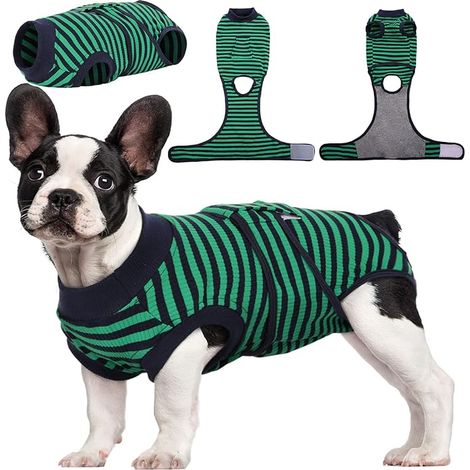 Combinaison de Récupération à Rayures pour Chiens, Chats Après Chirurgie, Protection des Plaies Abdominales Maladies de la Peau, Alternative au Collier pour Animal de Compagnie (1/5)