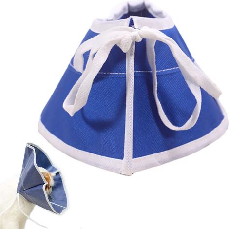 Collar de protección para mascotas Cono de protección para perros gatos después de la cirugía (1/4)