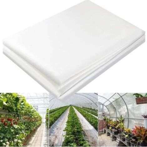 Bâche serre 2x6m, film polyéthylène qualité, pour couvrir jardin, légumes et tomates (1/3)