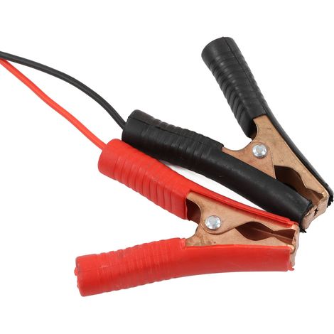 Souffleur portatif de qualité industrielle avec batterie, adapté à une utilisation industrielle et agricole (soufflage et aspiration) et au soufflage de cendres, 24V. (1/5)