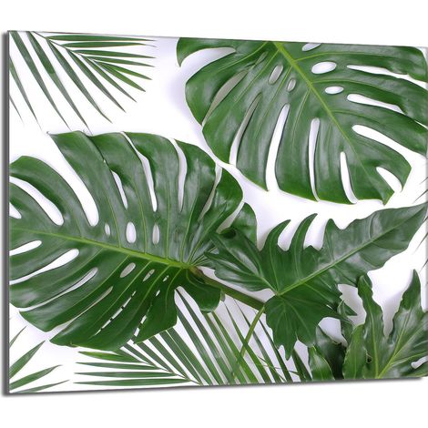 Protezione per piano cottura in vetro 60x52 Monstera (1/5)