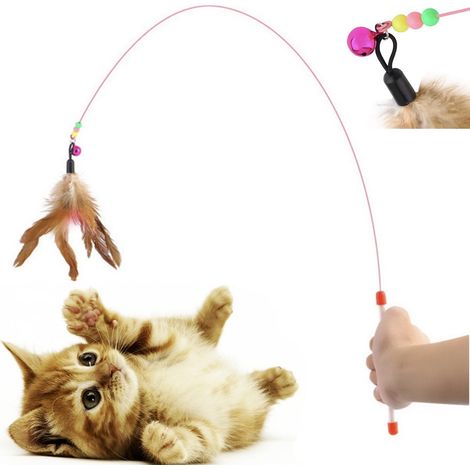 Canne à pêche de jeu pour chat - Avec clochette - Jouet (1/2)