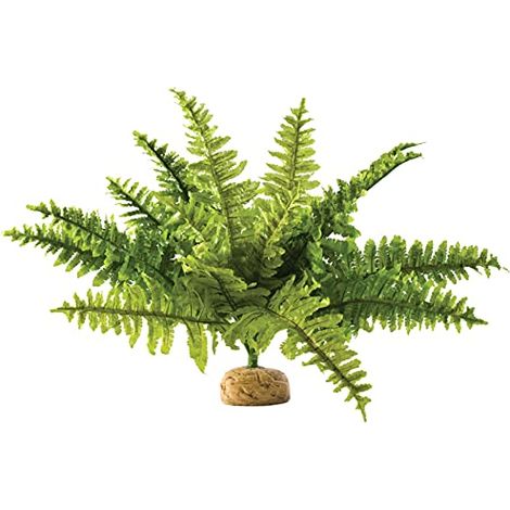 Terrario exo-terra boston fern funzione ossigenazione facile pulizia (1/3)