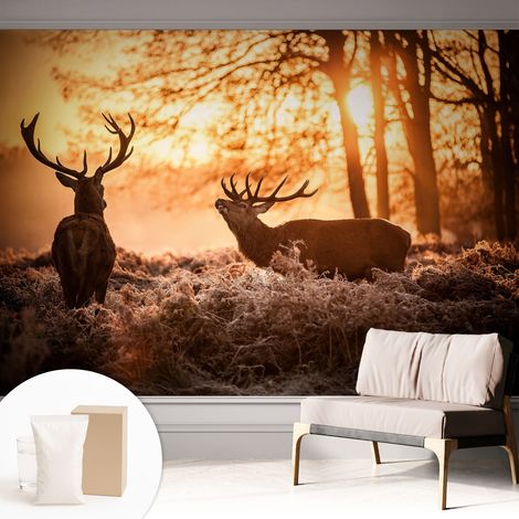 Carta Da Parati - Mural - Con Sala Da Pranzo - Camera Da Letto - Cameretta - Con Colla Gratuita Cervi al mattino 312x219 cm (1/5)