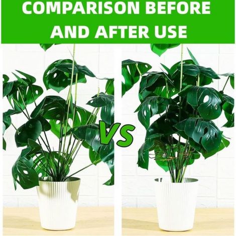 - Support pour plantes grimpantes Monstera, lot de 4, doré, idéal pour les plantes grimpantes. (1/5)