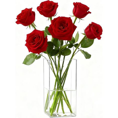 Vase à Fleurs en Acrylique Transparent,10 x 25cm ,Vase Carré en Plastique Incassable - Vases Moderne pour Fleurs, Décorations de Table Moderne, Centres de Table - Cadeau Femme/Anniversaire (1/5)