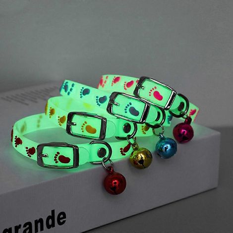 Collier ajustable pour chiens et chats, lampe de sécurité pour promenades nocturnes, anneau lumineux autour du cou (1/4)