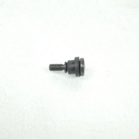 schraube + dichtung m6 p100 für roller yamaha 50 axis (1/5)