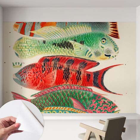 Papier peint autocollant adhésif décoratif avec motifs pour salon et chambre a motif Poissons exotiques 152x104 cm (1/5)
