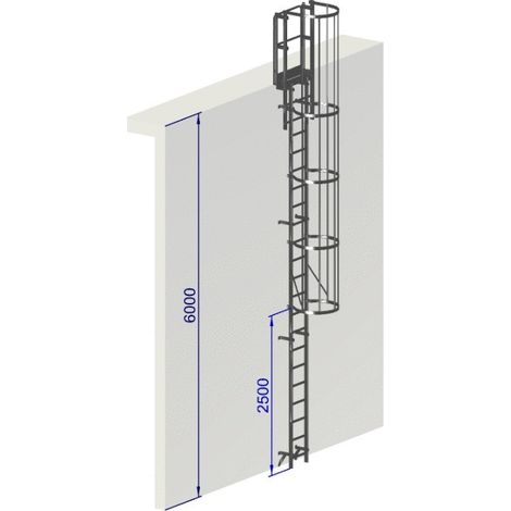 Échelle à crinoline aluminium 6 mètres – Conception sans soudure – Installation rapide sur site – Norme EN ISO 14 122-4