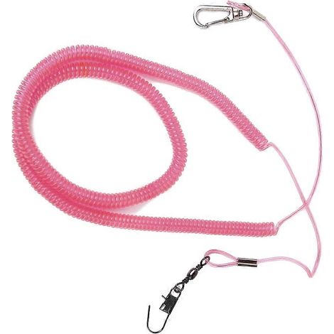 Kit de laisse pour perroquet, corde de dressage pour oiseaux compatible, 1 pièce, couleur aléatoire (1/5)