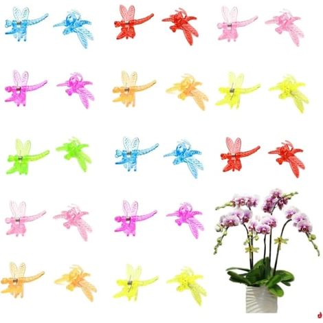 30 pinces à orchidées, pinces en plastique libellule, pinces de support pour plantes de jardin, pinces pour treillis à tomates (couleur aléatoire) (1/5)