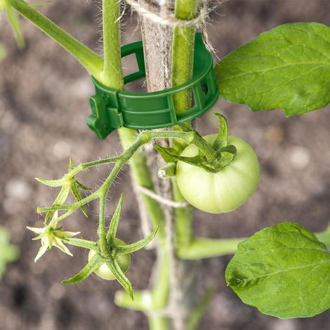 100 Pieces Clips Tomate pour Plantes,Clips pour Grimpantes,Jardin Clips en Plastique,pour légumes,Plantes,Tomates-Vert (1/5)