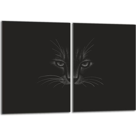 Plaque de protection en verre pour le poêle 2x40x52 Cat (1/5)