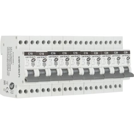 Zenitech – Pack de 10 disjoncteurs bipolaires 2x10A + 4x16A + 4x20A – Capacité de coupure 3KA – Compatible tous tableaux électriques