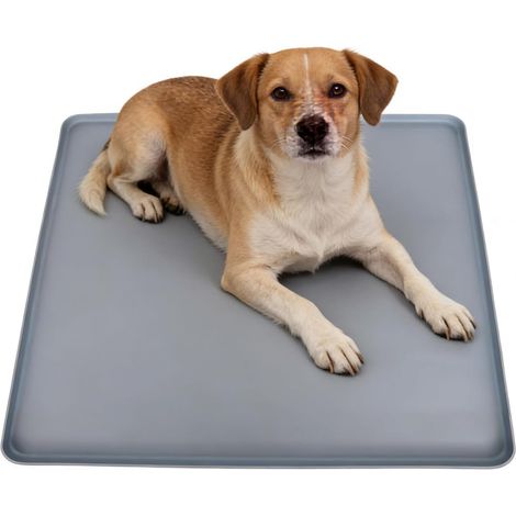 Tapis Chien Lavable 60x60cm, Tapis Silicone Réutilisable Imperméable pour Chiot et Chat, Protection Anti-Fuite Antidérapante, Puppy Pad Multifonction pour Cage, Gamelle et Maison (1/5)
