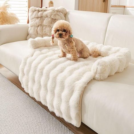 Panier/lit pour chien/chat en peluche avec bords protecteurs - 75 x 75 cm - blanc - panier lavable pour animaux de compagnie (1/5)